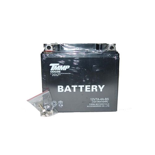 Bateria 12N7Bs Selladas Libre Mantenimiento Tmmp Positivo Izquierda REM120