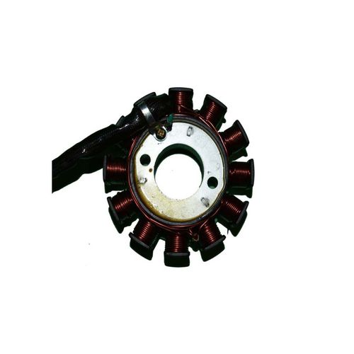 Estator De 12 Bobinas REM2147