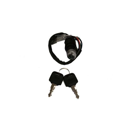 Switch REM2307