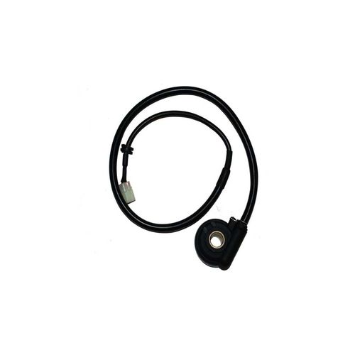 Sensor De Velocidad REM2423