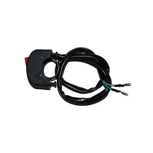 Interruptor REM2891