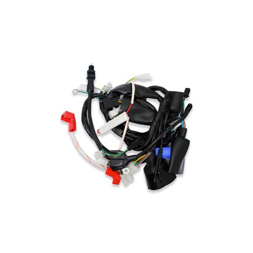 Arnes Completo 12 Vcc REM3371