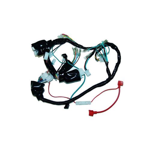 Arnes Principal REM845