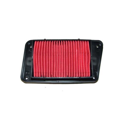 Filtro De Aire REM1030