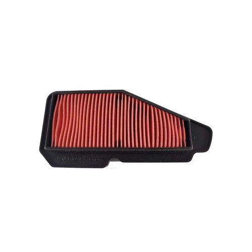 Filtro De Aire REM1720