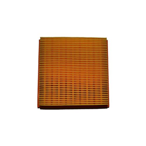 Filtro De Aire REM2141