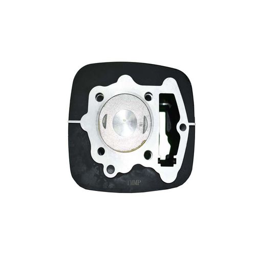 Cilindro Con Piston Y Anillos REM2417