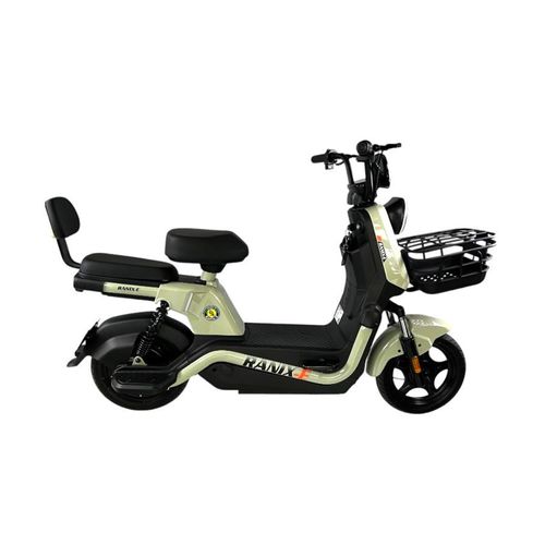 Bicicleta Eléctrica Color Verde RANIX002